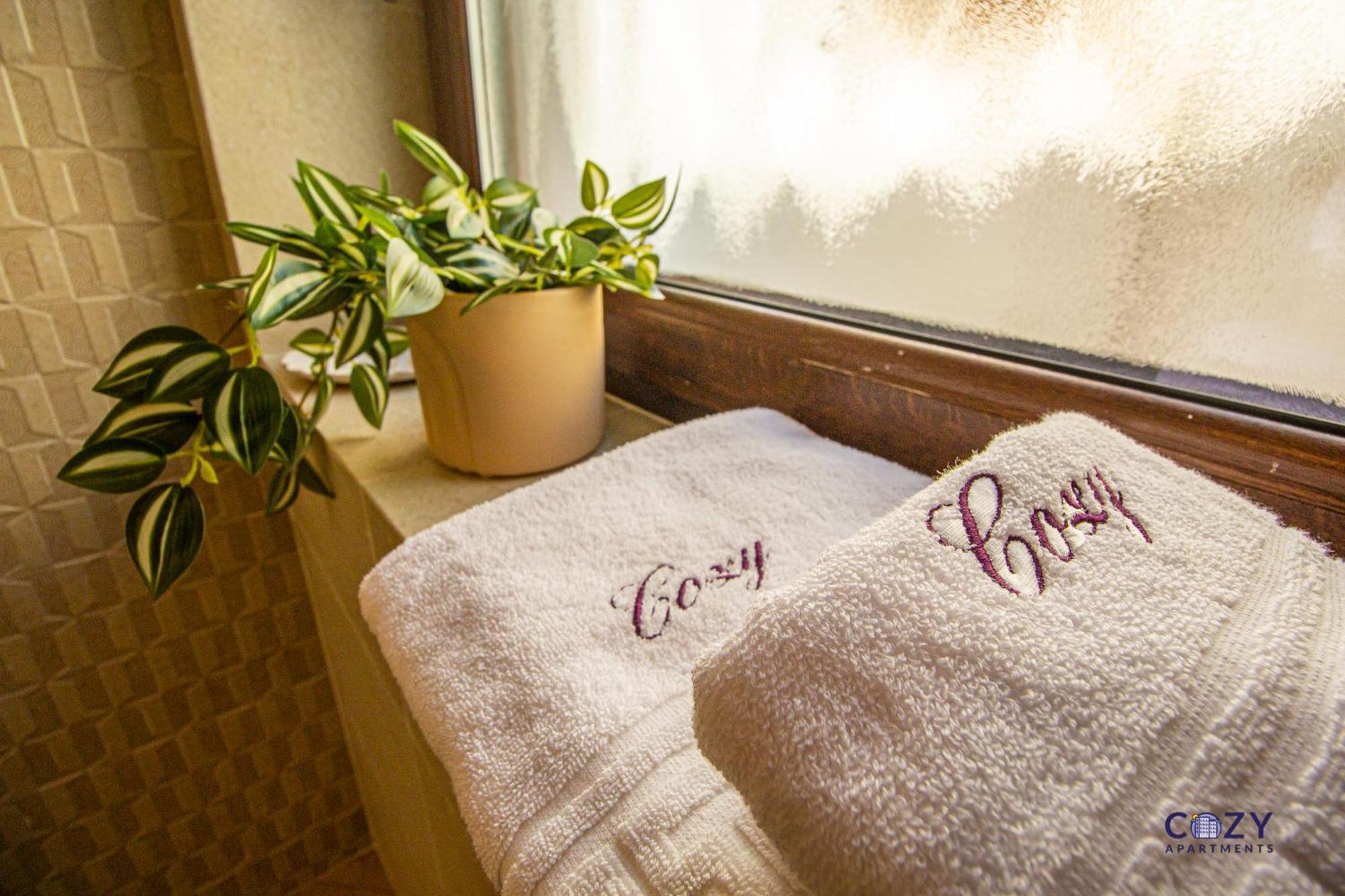 Cozy Brand New Boutique Aparthotel Brasov Ngoại thất bức ảnh